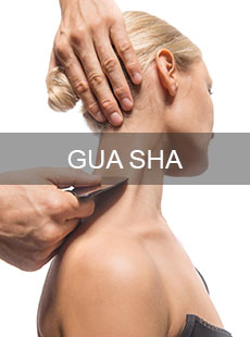 Jetzt Gua Sha und weitere Schwerpunkte entdecken und sich mit den Methoden der traditionellen chinesischen Medizin in Zürich behandeln lassen.